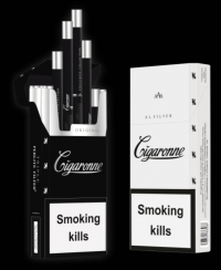 Cigaronne Extra Long cigarettes 10 cartons