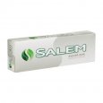 Salem Silver king box cigarettes 10 cartons