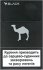 Camel Black(mini) Cigarettes 10 cartons