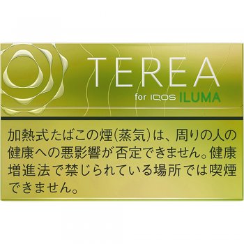 Terea Bright Menthol 10 cartons