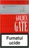 Golden Gate Red Cigarettes 10 cartons