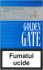 Golden Gate Blue Cigarettes 10 cartons