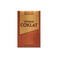 Djarum Coklat cigarettes 10 cartons
