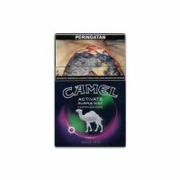 Camel Activate Purple Mint cigarettes 10 cartons