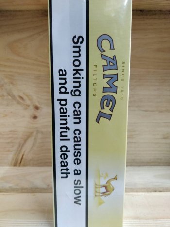 Camel Filters cigarettes 10 cartons