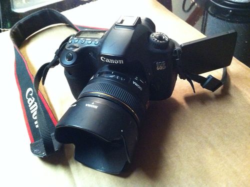 Canon EOS 60D 18.0 MP Digital SLR Camera - Click Image to Close